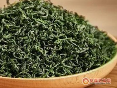 珍香茶葉 技術(shù)推廣驅(qū)動，品質(zhì)與效益的雙贏之路