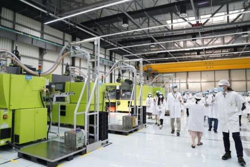 以質量和嚴謹著稱的德企，為何落戶臨港經濟技術開發區？